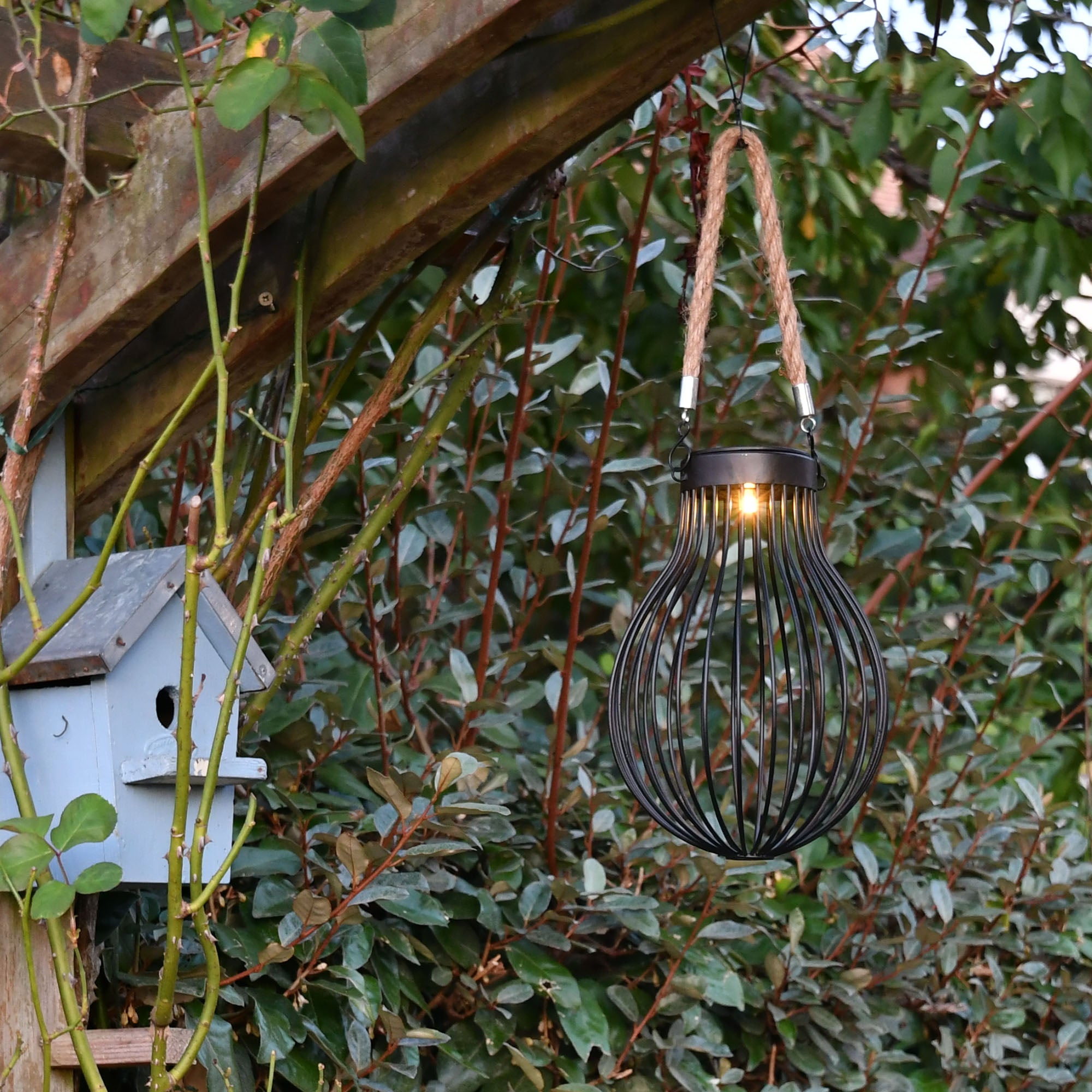 Lanterne solaire Doty